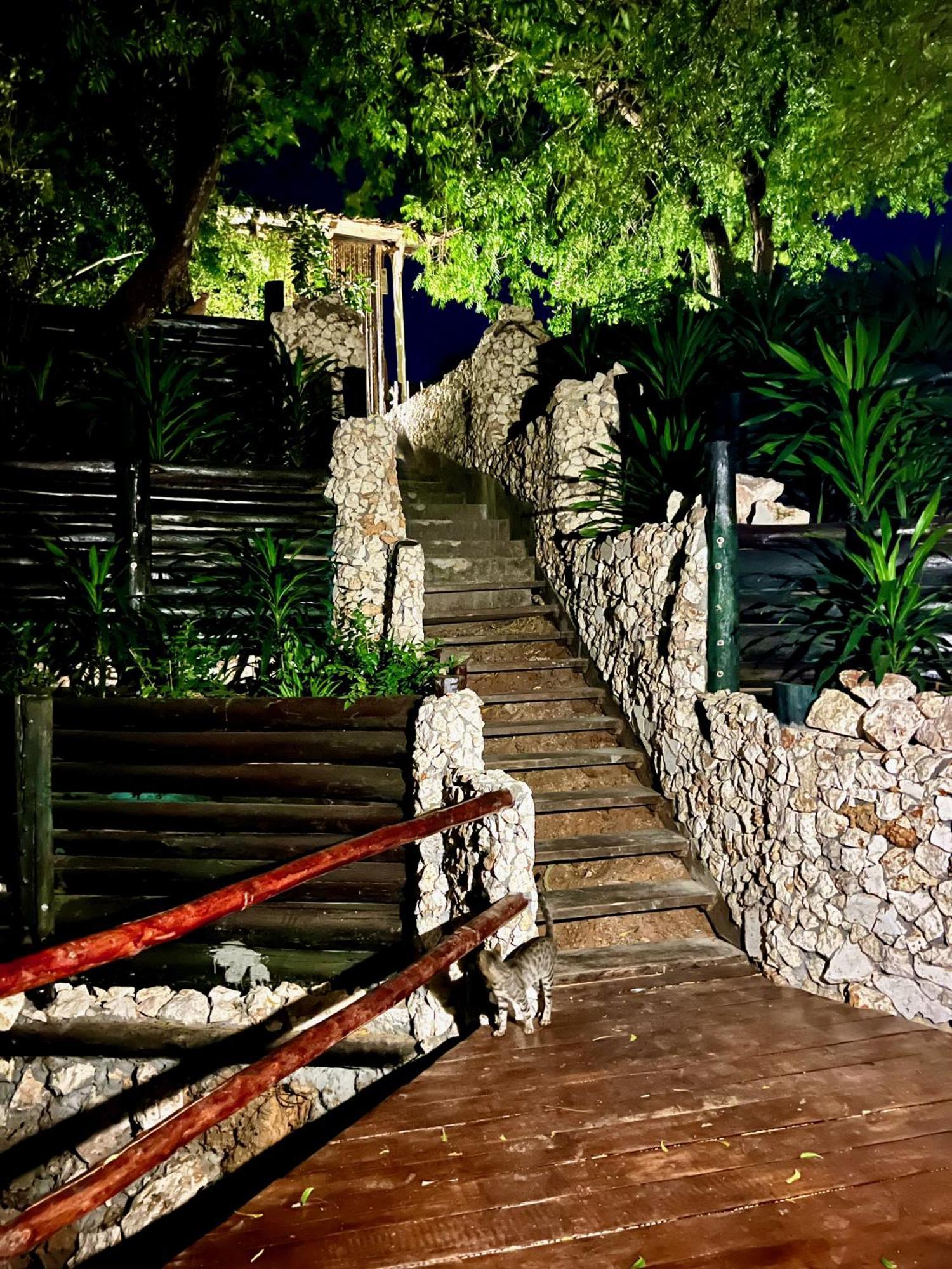Rock And Sea Resort Watamu Eksteriør billede